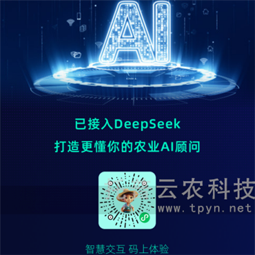 “问稷”智能体